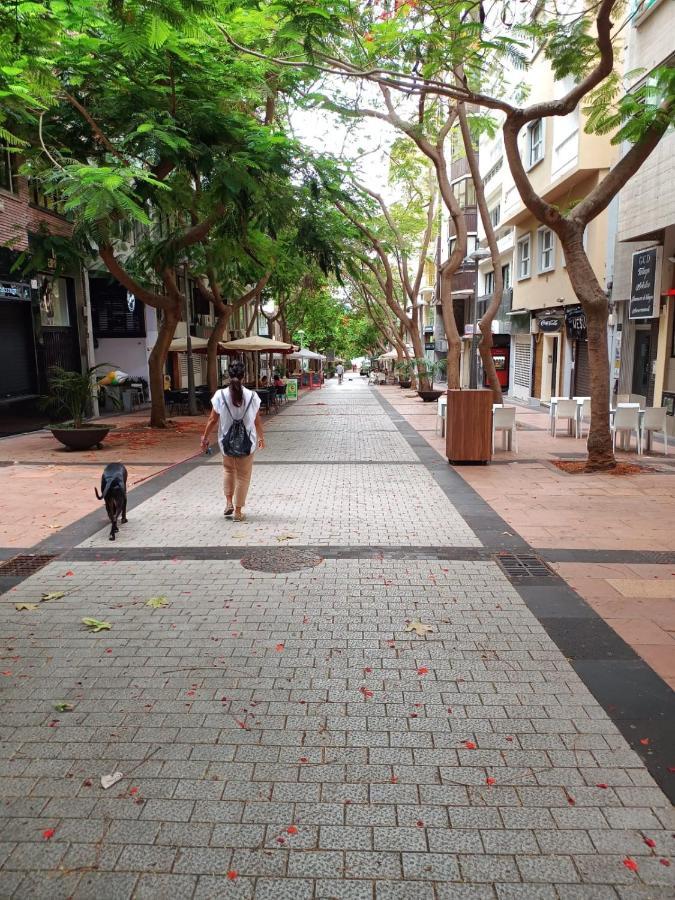 Center Santa Cruz, Alojamiento Centrico Con Gran Terraza, Cocina , Salon Y Banos, Todo Privado Buitenkant foto
